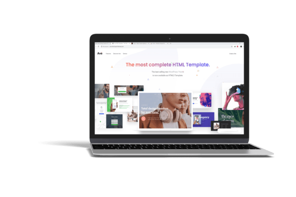Website design  professional